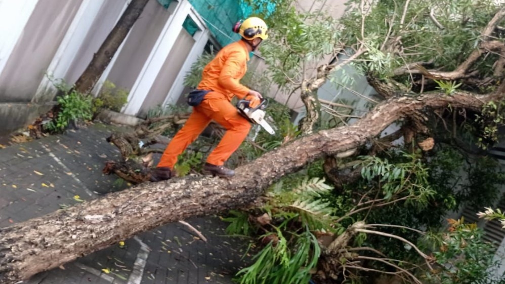 Cuaca Ekstrem Landa Kota Jogja, BPBD Minta Masyarakat Waspada 