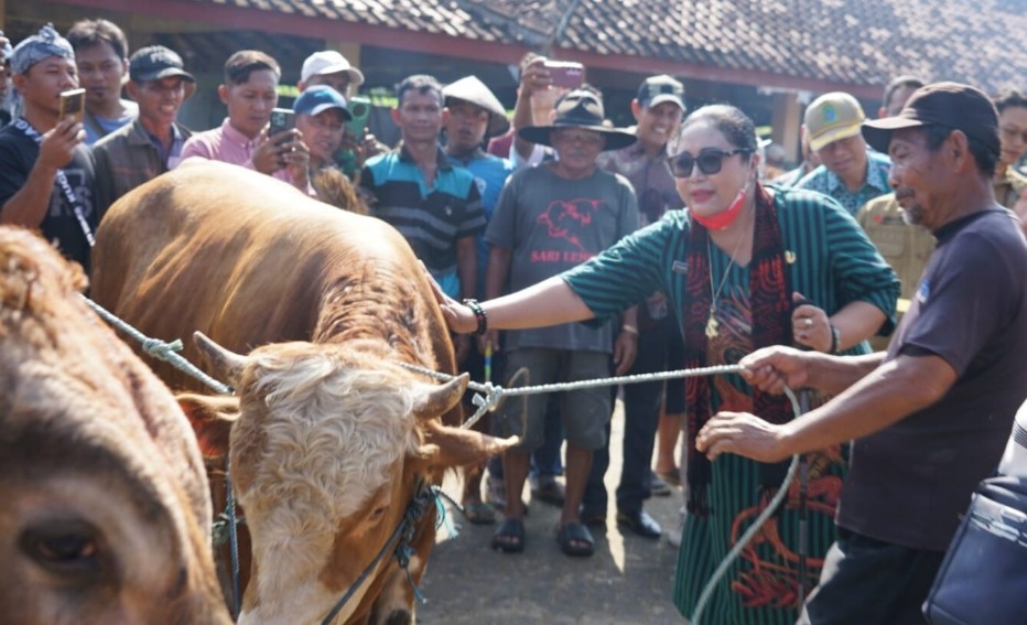 Gunungkidul Kelebihan Stok Ribuan Hewan Kurban, Bupati Endah: Siap Menyuplai Daerah Lain 