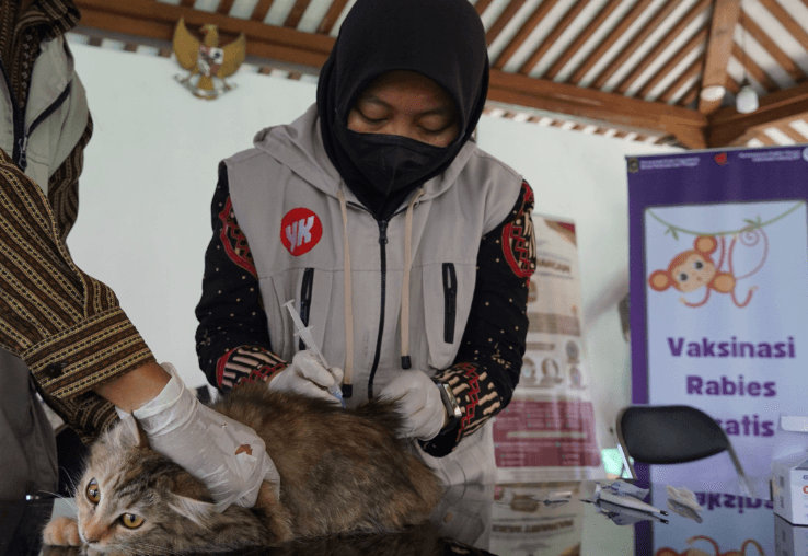 Vaksinasi Rabies Gratis Diserbu Warga Kota Jogja 