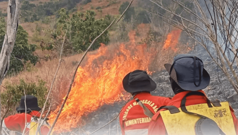 Pakar UMY Soroti Anggaran BNPB yang Turun di Tengah Tingginya Risiko Bencana 