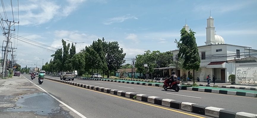 Angin Kencang Melanda Sejumlah Wilayah di Jogja, 2 Korban Tewas Tertimpa Pohon