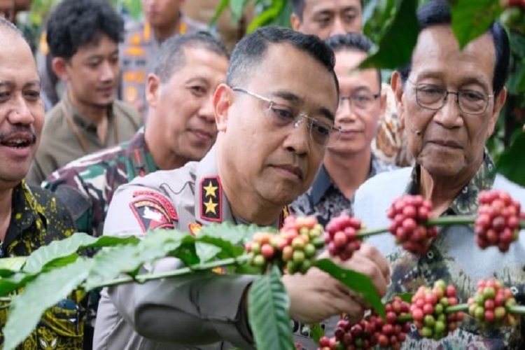 Panen Kopi Perdana Sleman bareng Kapolda, Sri Sultan Janjikan Pembangunan Embung demi Ketersediaan Air