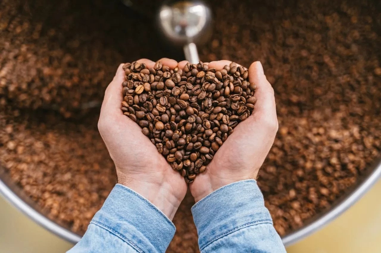 Rekomendasi Lengkap Coffeeshop di Jogja, dari Sekadar Healing sampai Belajar Perkopian