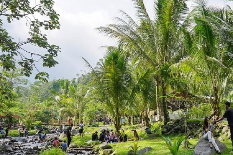 Ledok Sambi Yogya, Wisata Alam Aliran Sungai Jernih dengan Tiket Masuk Seikhlasnya
