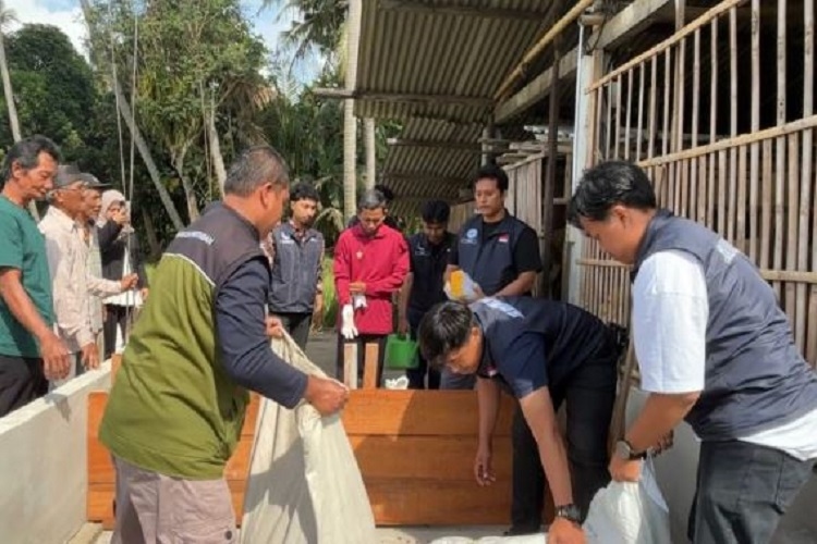 Mahasiswa UMY Ubah Limbah Ternak jadi Kompos Bernilai Ekonomi