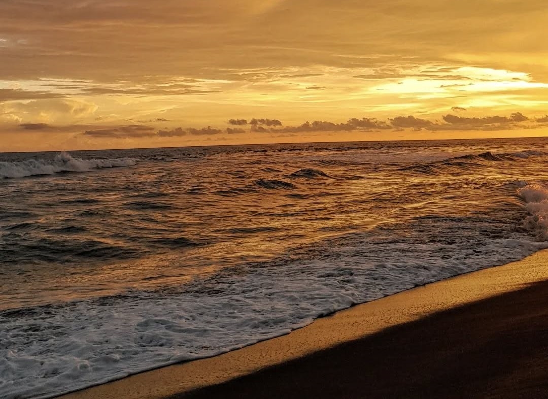 Pantai Cangkring Bantul, Pesona Pasir Hitam yang Estetik dan Pohon Cemara yang Teduh