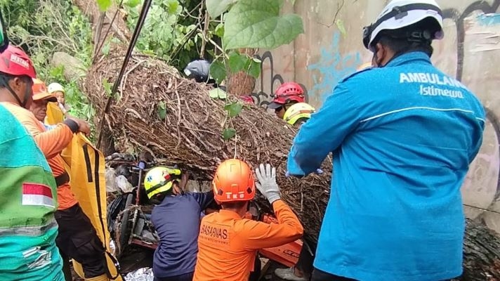 2 Warga Meninggal Dunia Tertimpa Pohon di Sleman