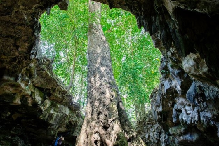 Ahli UPN Yogya Dukung Kebijakan Mendagri Perkuat Peran Pemda Kelola Geopark