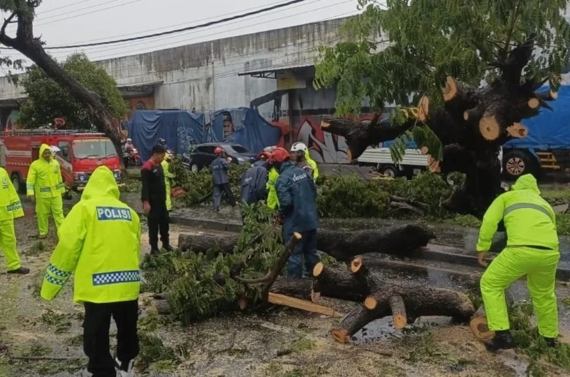 5 Fakta Penting Hujan Badai di Bantul, 78 Pohon Tumbang, Ribuan Hektare Lahan Pertanian Terendam Banjir