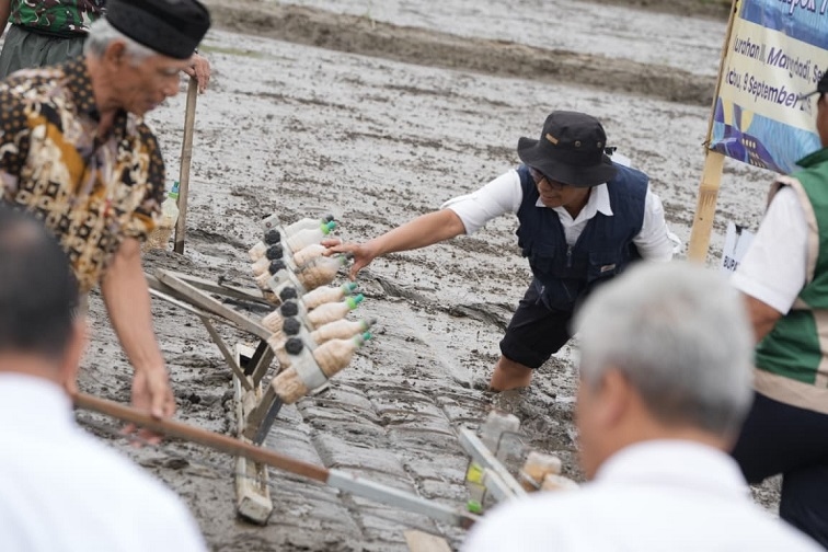 Melalui Metode Ini, Petani Seyegan Sleman Optimis Mampu Tingkatkan Produksi Padi