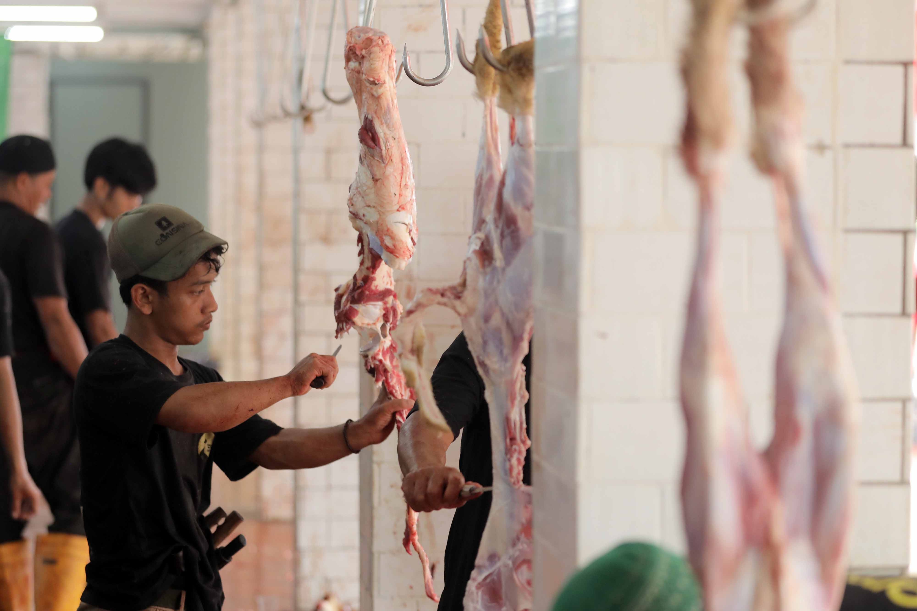 Stok Hewan Kurban di Yogyakarta Aman