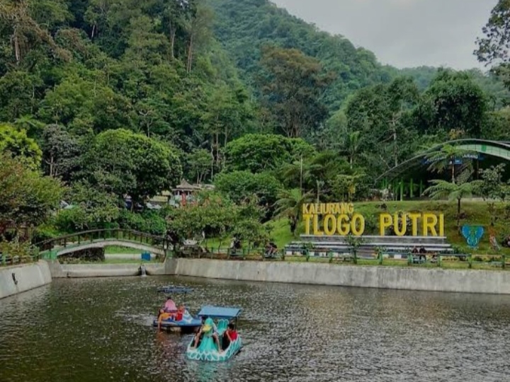 Satpol PP Sleman Sebut 2 Lokasi ini Jadi Titik Rawan Perayaan Tahun Baru