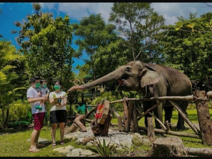 5 Alasan Harus Liburan ke Gembira Loka Zoo Jogja Bareng Keluarga, Seru Banget!