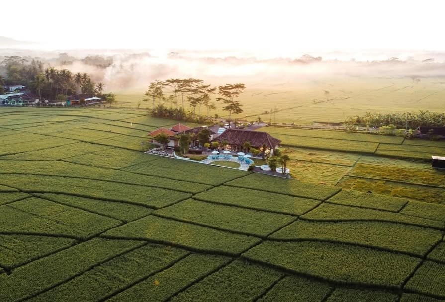 Resto dengan Pemandangan Hamparan Sawah, Ada Giri Manah di Kulon Progo