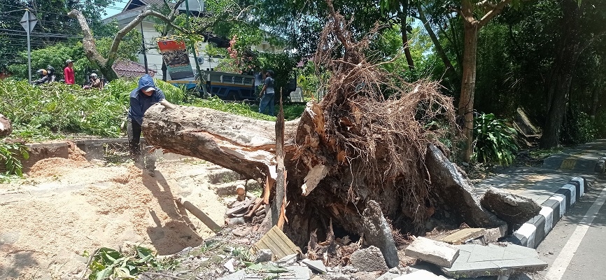 Angin Ambrukkan Joglo di Sleman, 3 Korban Dirawat di RS