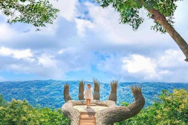 PT Angkasa Pura Indonesia Beri Bantuan Pengembangan Wisata Hutan Pinus Pengger Rp100 Juta