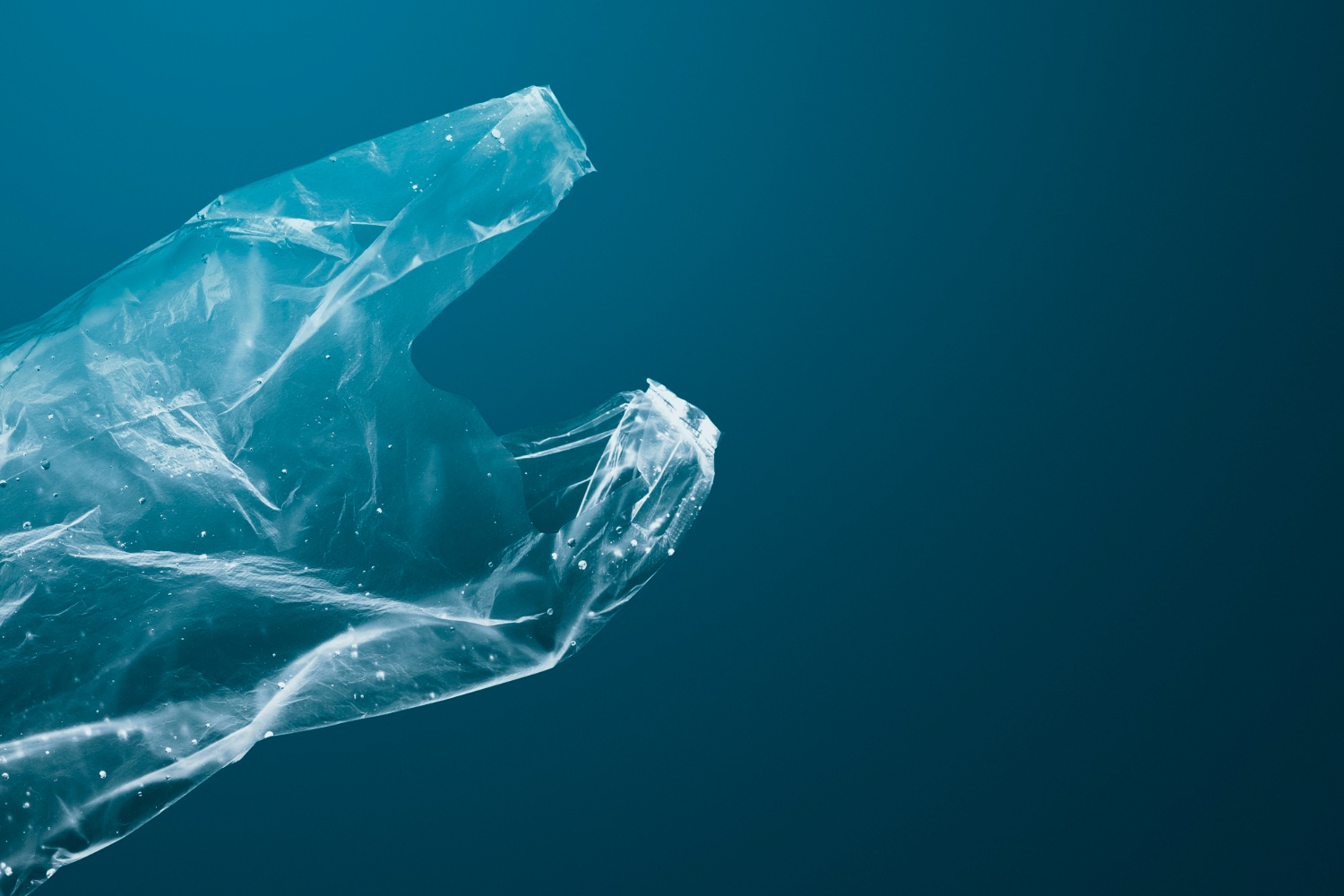 Pakar UGM Ungkap Mikroplastik di Air Hujan jadi Ancaman Senyap Kesehatan Manusia