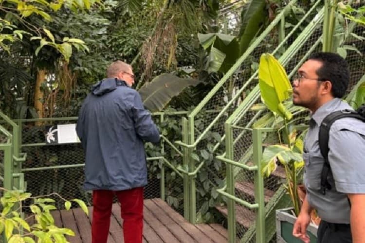 Lakukan Riset Pala di Belanda, Mahasiswa UGM Kagumi Rapinya Sistem Pengelolaan, Indonesia Kapan?