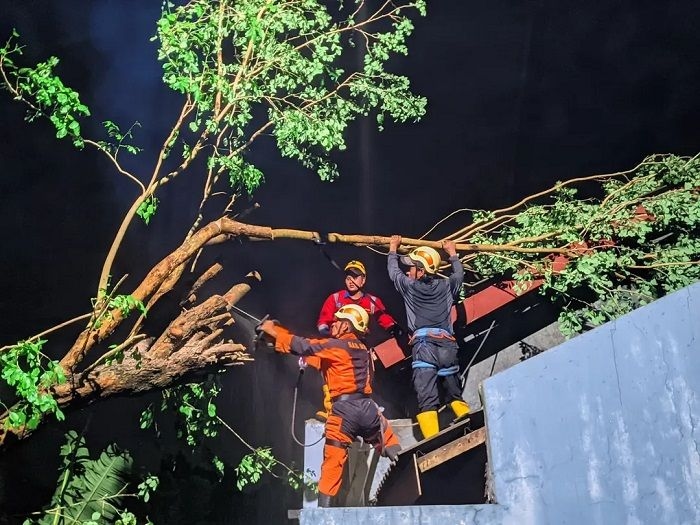 4 Luka Terdampak Angin Kencang di Sleman