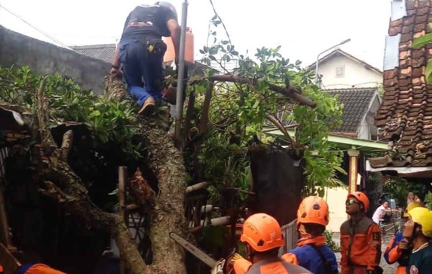 Kota Jogja Perpanjang Siaga Cuaca Ekstrem sampai Februari 2026